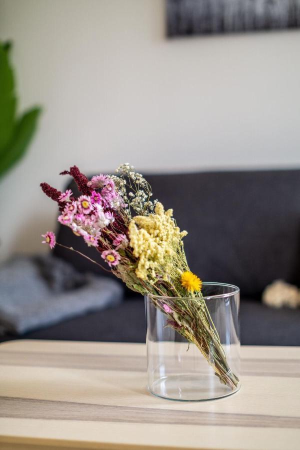 Apartment Im Hygge Skandinavisch Wohnen Mitten In Chemnitz